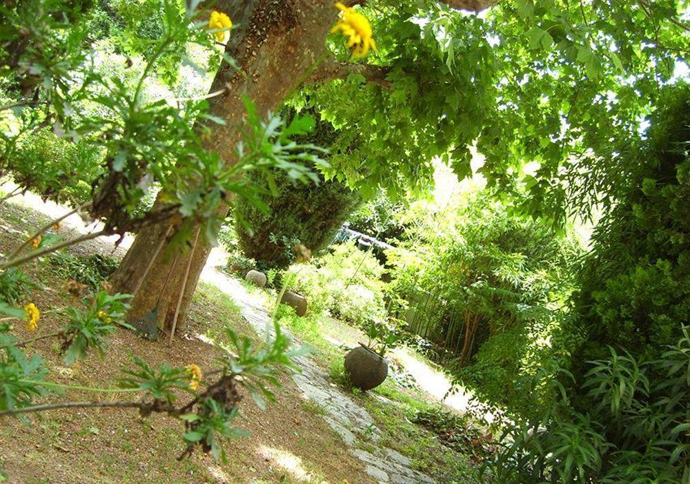 Hotel Le Prado De St Raph 2*